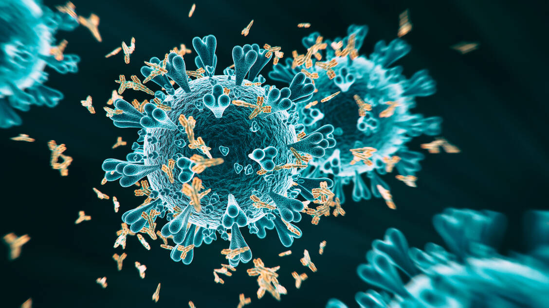 US-Pharmariese Eli Lilly arbeitet wie viele andere Firmen auch an Antikörpern, die das Coronavirus neutralisieren sollen. / Foto: Getty Images/koto_feja