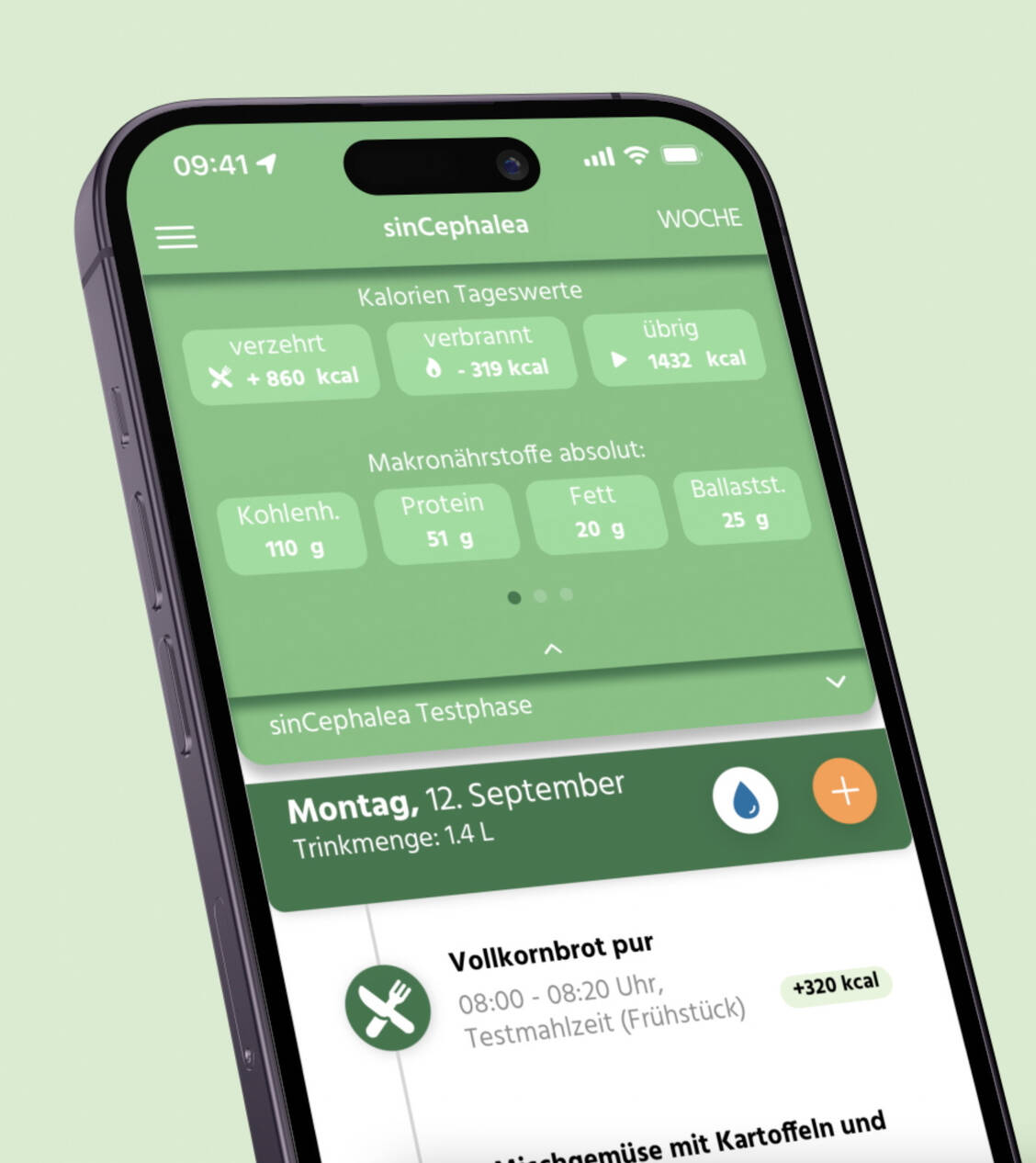 Migräne kann durch einige Lebensmittel getriggert werden. Die neue DiGA hilft hier, einen Zusammenhang zu erkennen. / Foto: Perfood