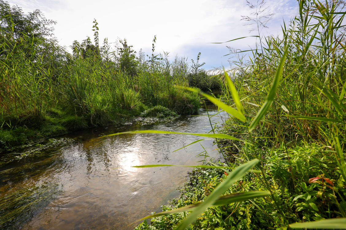 Kontinuierlich gelangen Tonnen von Humanarzneimittelwirkstoffen und deren Abbauprodukte mit dem Abwasser über die Kläranlagen in die Umwelt – vor allem in die Gewässer – und können dort Schaden anrichten. / Foto: IMAGO/Rupert Oberhäuser