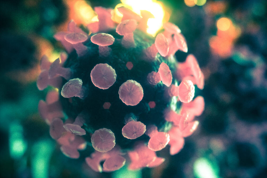 Coronaviren sind behüllte RNA-Viren. Sowohl die Replikation als auch die Oberflächenproteine könnten Angriffspunkte für potenzielle Wirkstoffe bilden. / Foto: Getty Images/4X-image