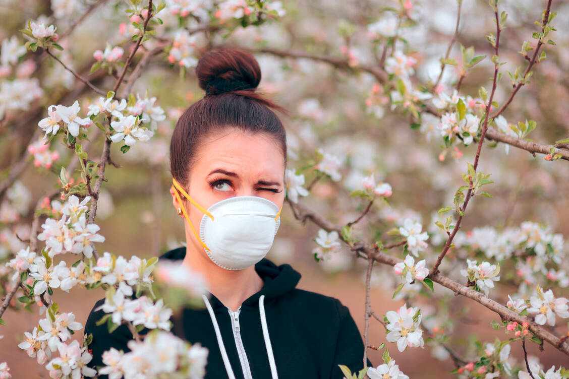 Gegen Rosengewächse wie Apfel, Kirsche und Pflaume sind die wenigsten allergisch. Fliegen aber die Pollen von Birke, Hasel oder Ambrosia, können sich Allergiegeplagte und Personen mit hohem Covid-19-Risiko mit einer Staubfiltermaske schützen. / Foto: Adobe Stock/nicoletaionescu