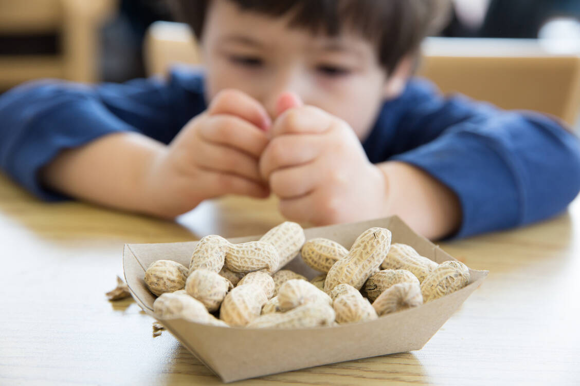 Erdnüsse zu essen wird für Kinder auch unter einer Therapie mit Palforzia weiterhin tabu bleiben. Die orale Immuntherapie darf nur in Verbindung mit einer erdnussfreien Ernährung erfolgen. / Foto: Getty Images/michellegibson