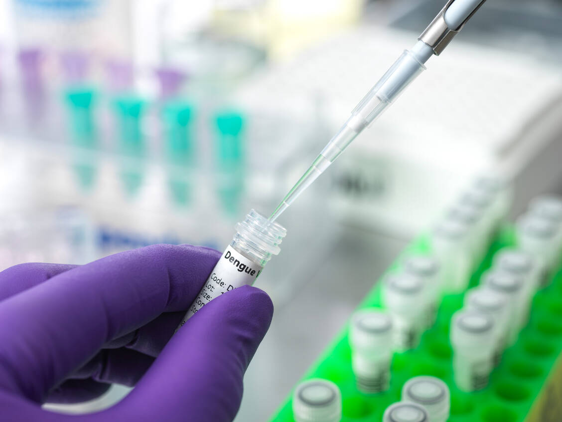 Für die kausale Therapie von Dengue gibt es keine Wirkstoffe. Es wird symptomatisch behandelt. Nun ist der erste Reiseimpfstoff zur Prävention auf dem deutschen Markt. / Foto: Getty Images/Science Photo Library