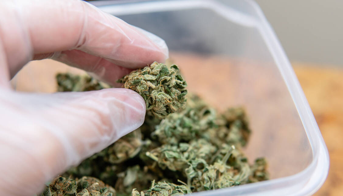 Cannabis zu Genusszwecken aus der Apotheke? Die Frage steht schon lange im Raum und bereitet nicht wenigen Apotheken Sorgen.  / Foto: imago images/Cavan Images