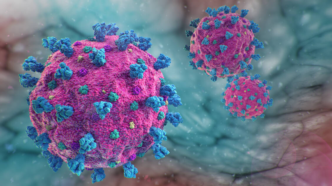 Von SARS-CoV-2 zirkuliert seit Anfang des Jahres eine neue Variante – die Omikron-Sublinie EG.5. / Foto: Adobe Stock/dermatzke