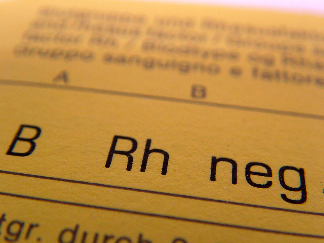 Bei Schwangeren wird schon seit Langem im Rahmen der Mutterschaftsvorsorge der Rhesusfaktor bestimmt, sofern er noch nicht bekannt ist. Neu ist, dass nun auch der Rhesusfaktor des Ungeborenen über das mütterliche Blut bestimmt werden kann. / Foto: Adobe Stock/TwilightArtPictures
