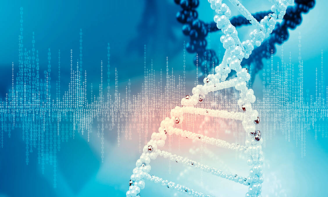 Mutationen, die zu einem Überschuss des Endocannabinoids Anandamid führen, beeinträchtigen die Schmerzwahrnehmung. / Foto: Fotolia/Serg Nvns