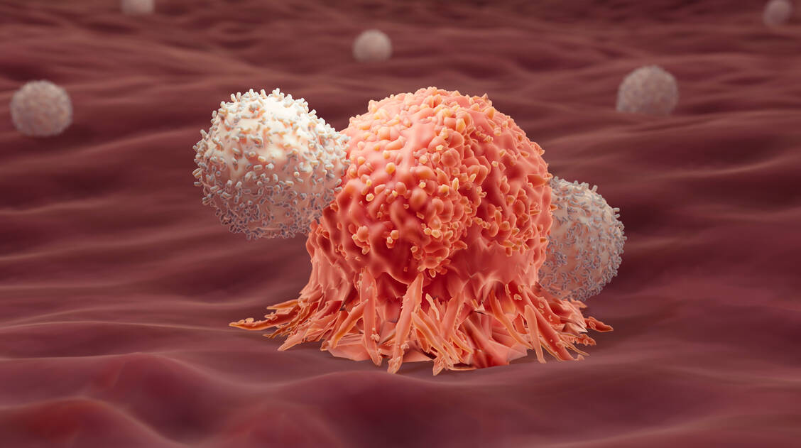 CAR-T-Zellen sind gentechnisch veränderte T-Zellen, die Krebszellen verstärkt erkennen und zerstören können. / Foto: Getty Images/ Artur Plawgo/Science Photo Library