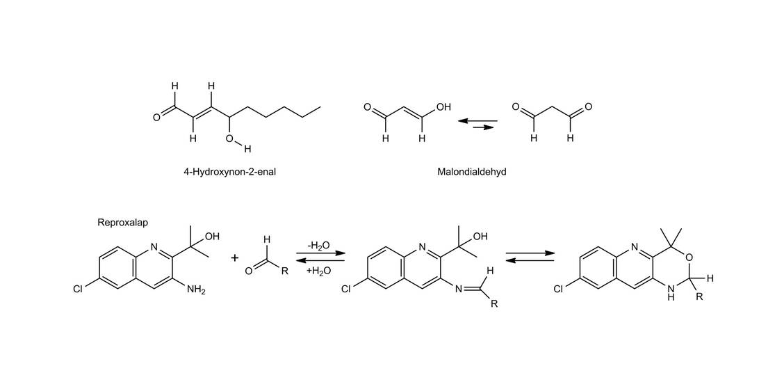 Molekularer Wirkmechanismus der RASP-Inhibitoren am Beispiel von Reproxalap / Foto: Wurglics