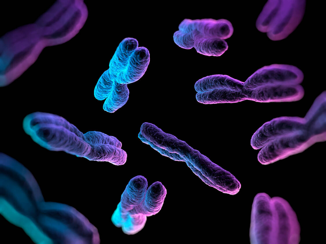 Eine bestimmte genetische Veränderung, die Bildung des sogenannten Philadelphia-Chromosoms, ist in den meisten Fällen der Auslöser der CML. / Foto: Getty Images/Sciepro