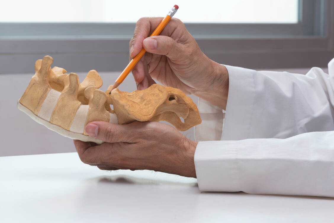 Bei schwerer Osteoporose werden die Wirbelkörper so fragil, dass es zu spontanen Brüchen kommen kann. / Foto: Adobe Stock/Teeradej