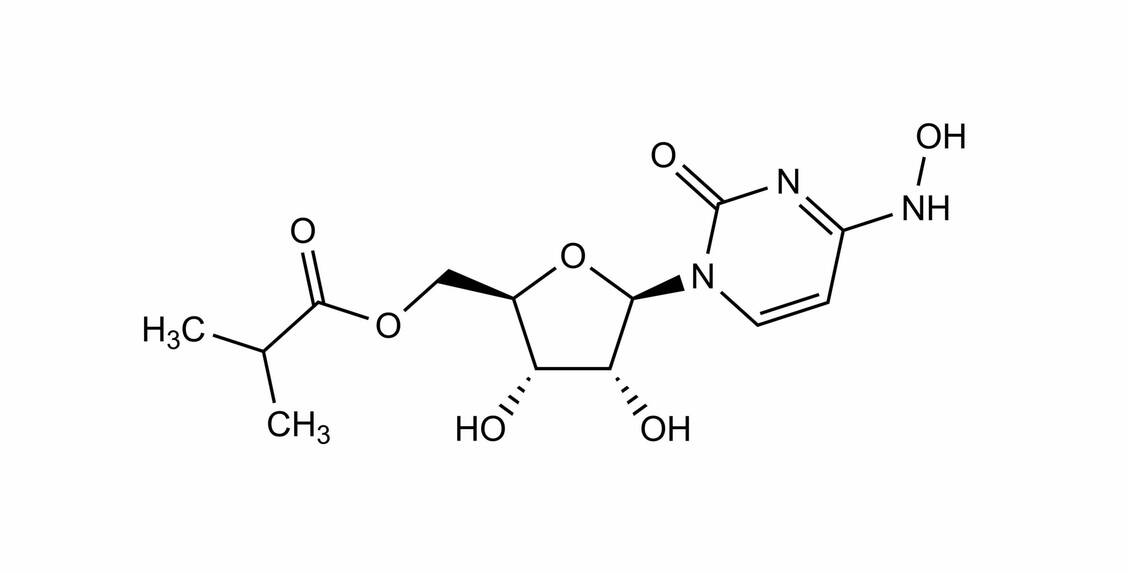 Molnupiravir oder anders ausgedrückt: N-Hydroxy-5'-O-(2-methylpropanoyl)-3,4-dihydrocytidin / Foto: Wurglics