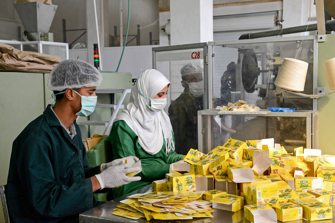 Bis zu 700 Millionen Teebeutel werden pro Jahr produziert. / Foto: Jörg Böthling