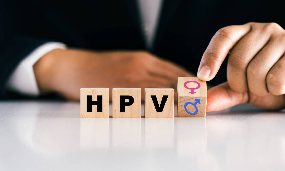 Humane Papillomviren (HPV) betreffen Frauen und Männer und können bei beiden Geschlechtern das Risiko für bestimmte Krebsarten erhöhen. / © Adobe Stock/wutzkoh