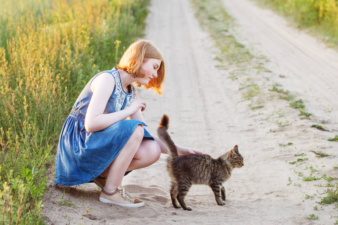 Der weltweit verbreitete ansteckende Fadenpilz Microsporum canis befällt besonders häufig Katzen. Schon das Streicheln befallener Fellstellen eines Tieres reicht häufig für eine Infektion aus. / Foto: Stock Adobe/Maya Kruchancova