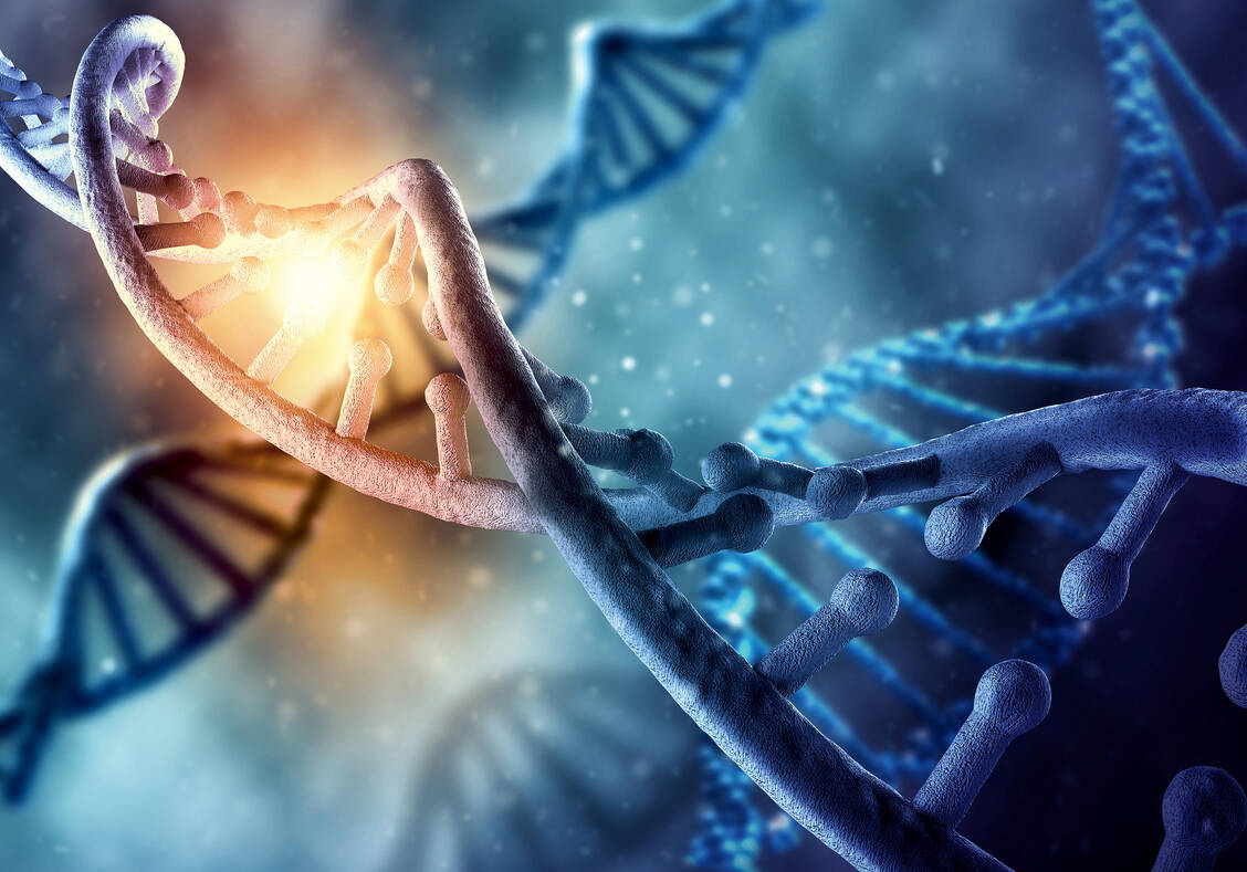 Im Normalfall wird per Vektor eingeschleuste DNA nicht in das Genom der behandelten Patienten integriert. / Foto: Fotolia/Sergey Nivens