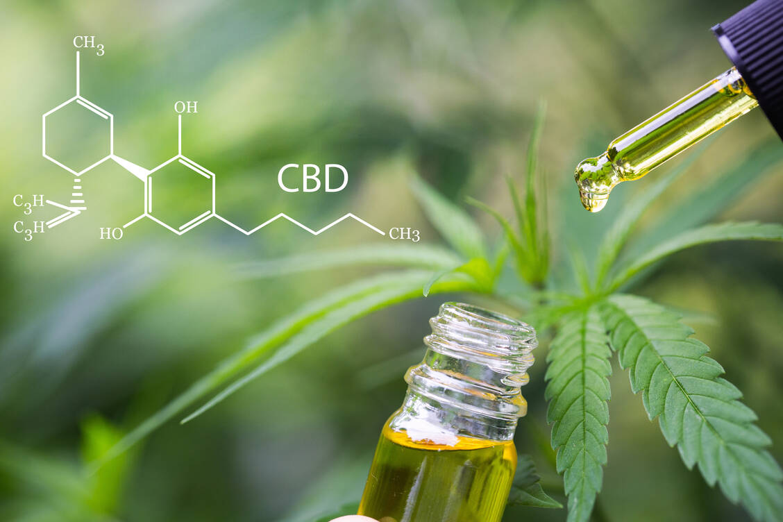 CBD-Öle erfreuen sich zunehmender Beliebtheit. Doch ohne Zulassung sind sie rein rechtlich nicht verkehrsfähig. / Foto: Adobe Stock/Tinnakorn