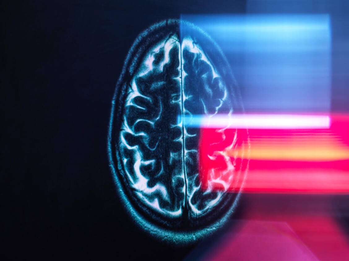 Ein berühmter Neurodegenerationsforscher soll in Hunderten Publikationen manipulierte Bilder verwendet haben. / © Getty Images/Andrew Brookes