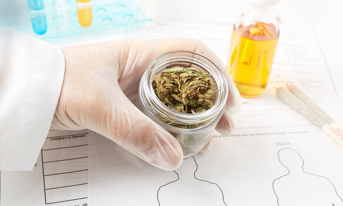 Entscheidend für die Wirkung von Medizinalcannabis ist das Verhältnis von THC und CBD. Letzteres erlebt auch als Einzelsubstanz in verschiedenen Produkten derzeit einen beispiellosen Hype als sanftes Wundermittel. / Foto: Getty Images/Athanasios Alatsidis