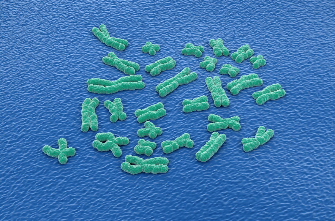 Die Methylierung der DNA entscheidet mit darüber, wie DNA zu Chromosomen gefaltet wird. Hier fanden die Forschenden Unterschiede zwischen Patienten mit ME/CFS und Gesunden. / © Getty Images/Science Photo Library/Nemes Laszlo