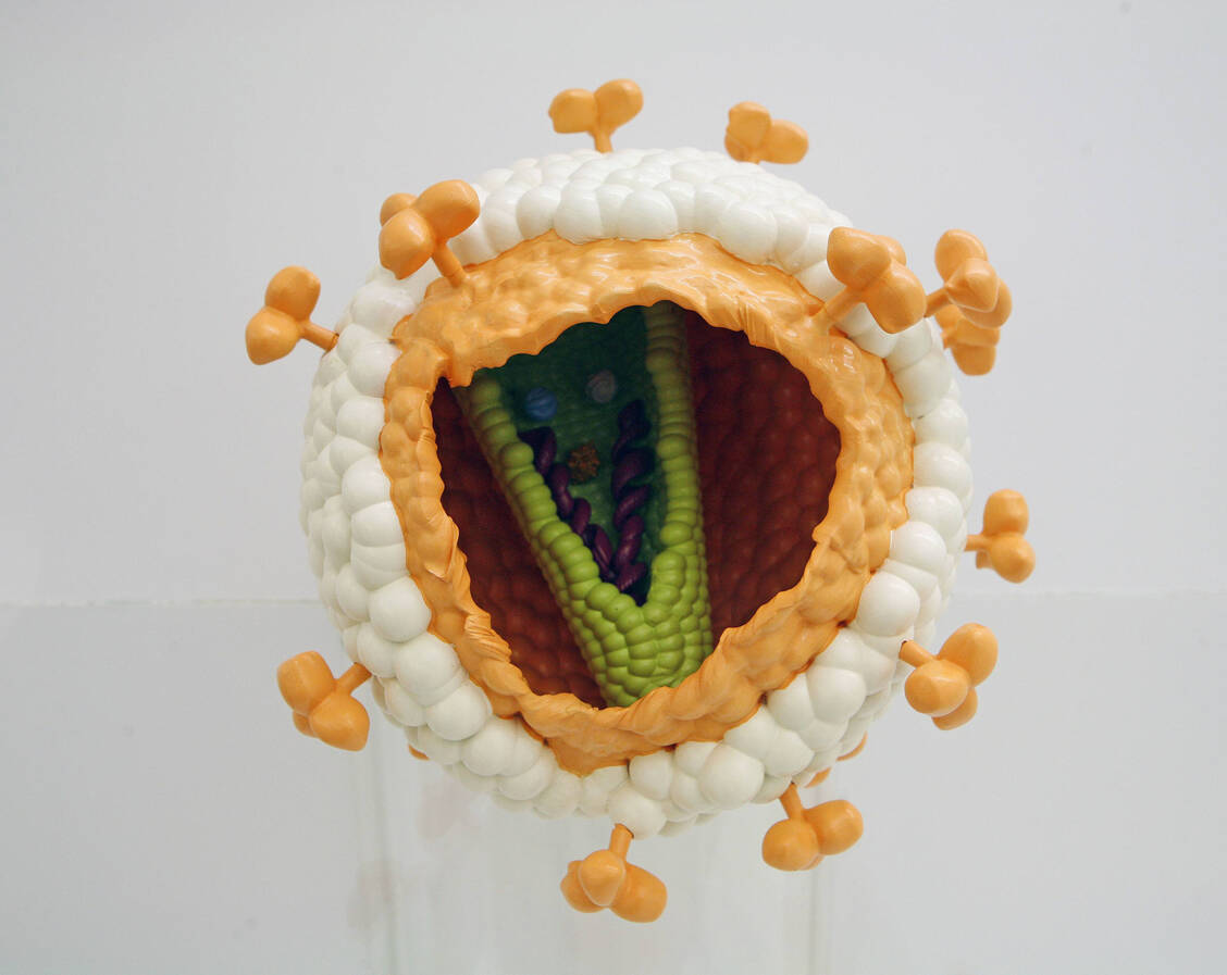 Das Kapsid von HIV hat eine kegelförmige Form und ist essenziell für die Virus-Replikation. Kapsid-Inhibitoren wie Lenacapavir hemmen seine Funktion.  / Foto: Imago/photo2000