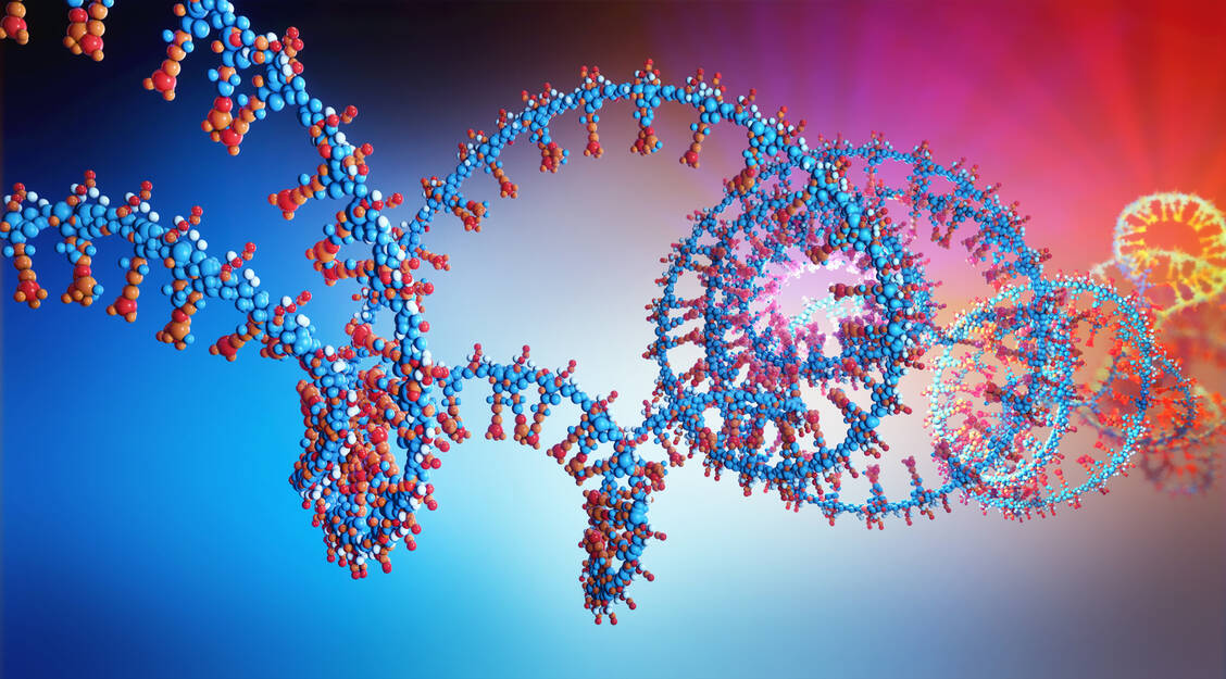 Um ihre Erbinformation, in diesem Fall RNA, ablesen zu lassen, nutzen Viren wie SARS-CoV-2 auch menschliche Enzyme. Hier sollen Arzneistoffe angreifen. / Foto: Getty Images/Christoph Burgstedt