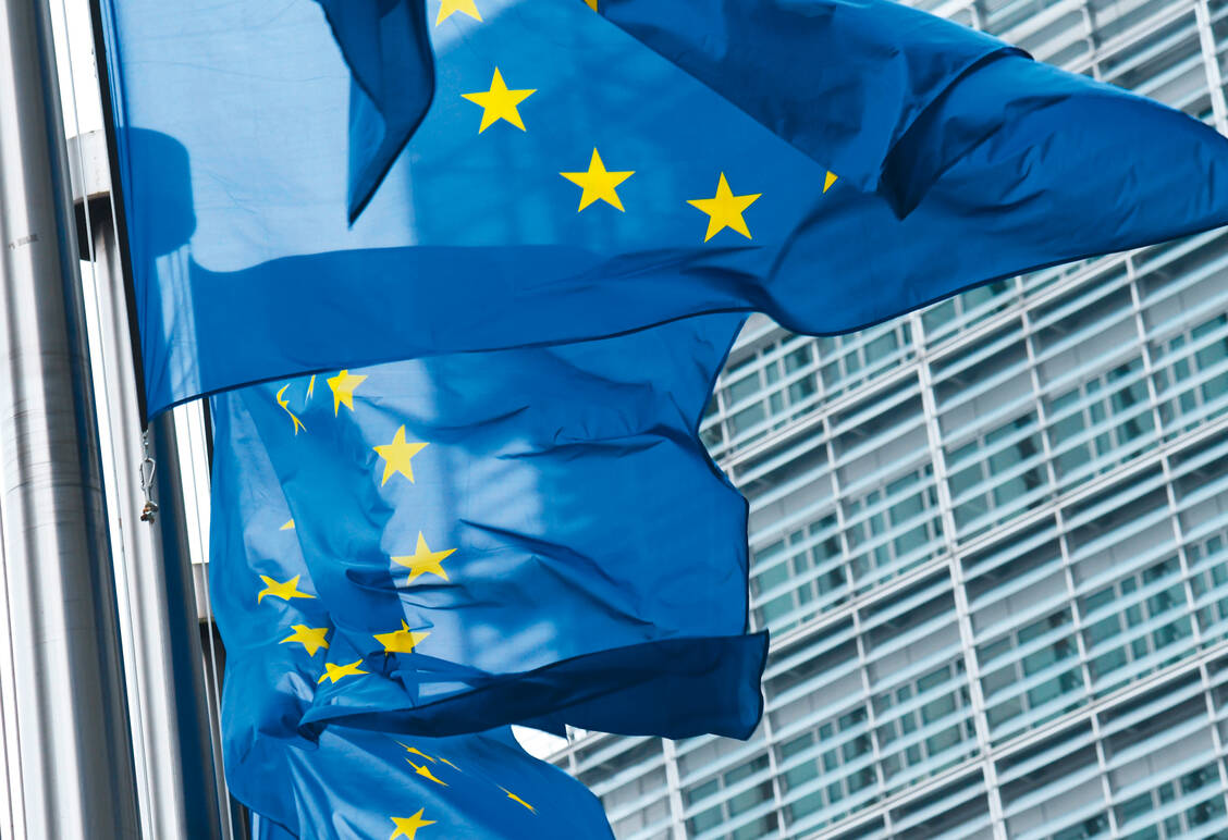 Im zweiten Halbjahr 2020 übernimmt Deutschland den Vorsitz im Rat der Europäischen Union.  / Foto: picture alliance / Winfried Rothermel