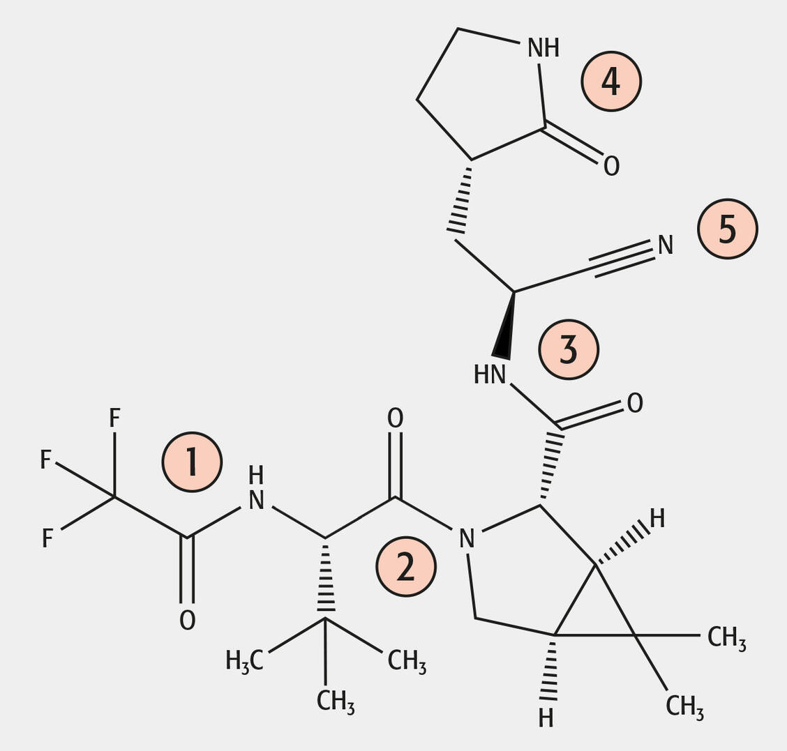 Abbildung: Strukturformel von Nirmatrelvir mit der Zuordnung der Amide und des Nitrils / © PZ/Holzgrabe