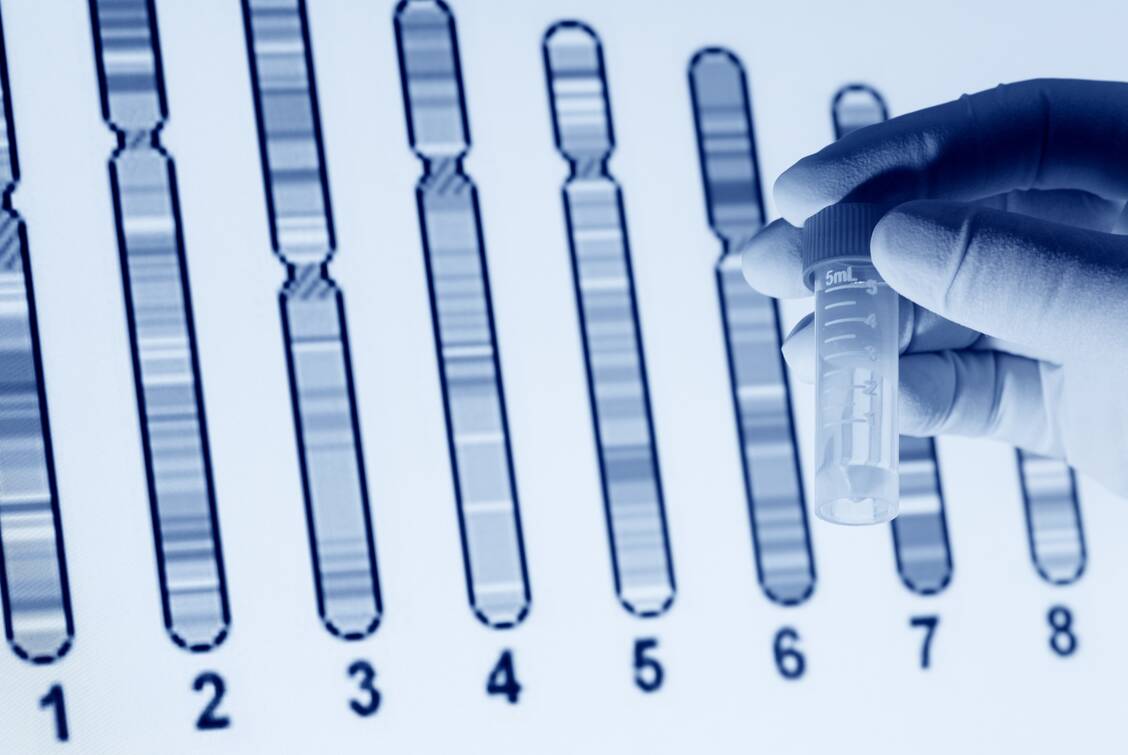 Das Gen für den CCR5-Rezeptor ist beim Menschen auf Chromosom 3 lokalisiert. Es wird in Zellen des Immunsystems wie T-Zellen exprimiert. / Foto: Adobe Stock/lily