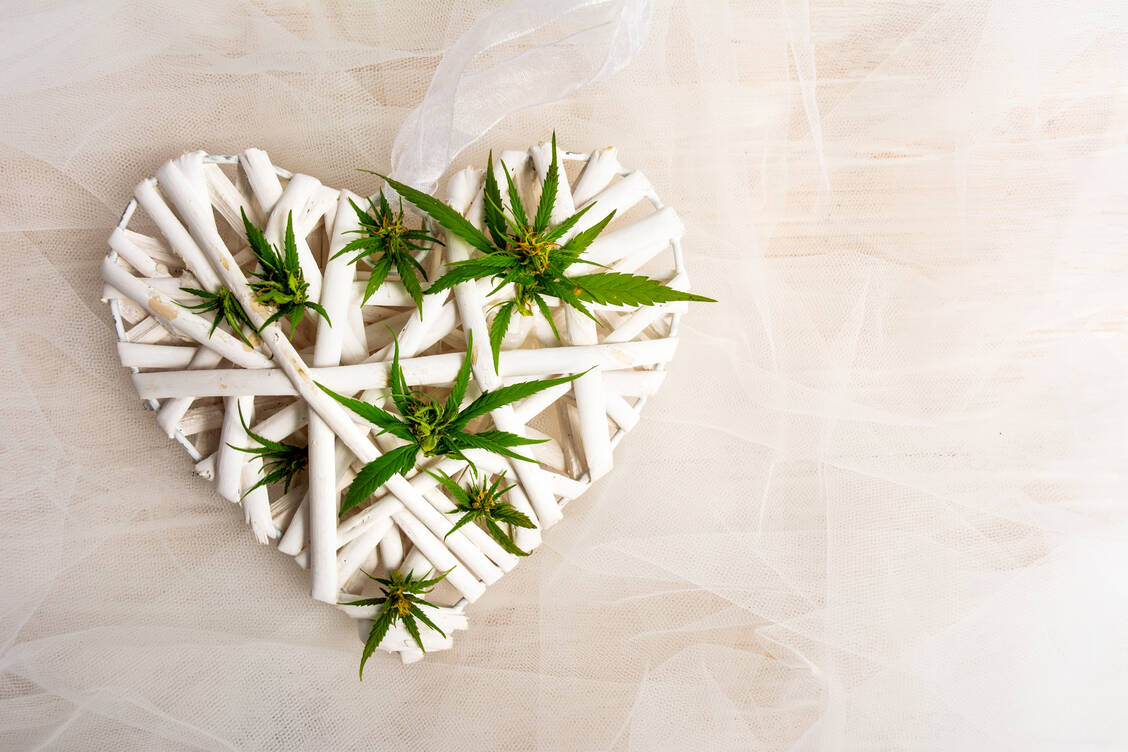 Patienten mit Herzleiden sollten äußerst vorsichtig sein, wenn sie Cannabis anwenden – egal ob zu medizinischen Zwecken oder als Freizeitkonsum. / Foto: Getty Images/Creative-Family