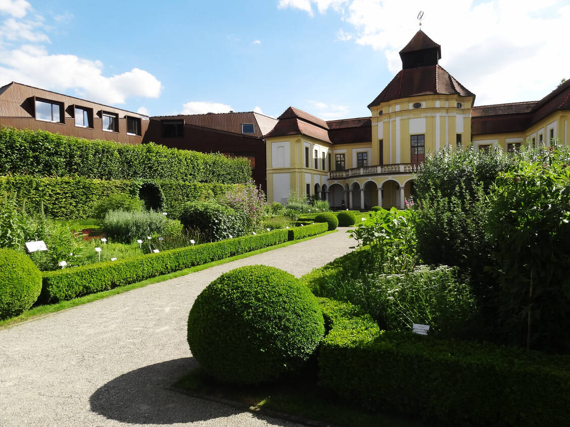 Blick auf die »Alte Anatomie« des Medizinhistorischen Museums in Ingolstadt. / Foto: Monika Weber