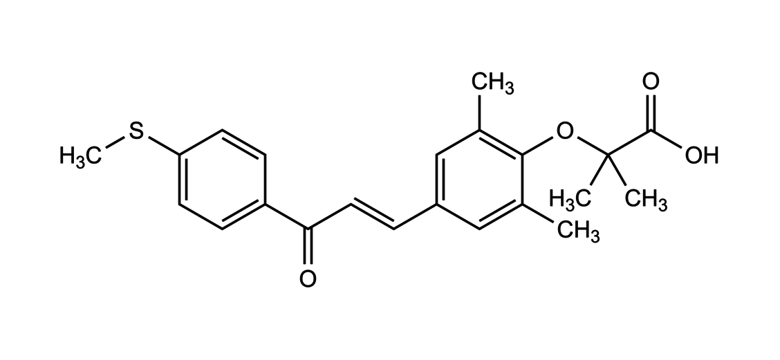 Elafibranor