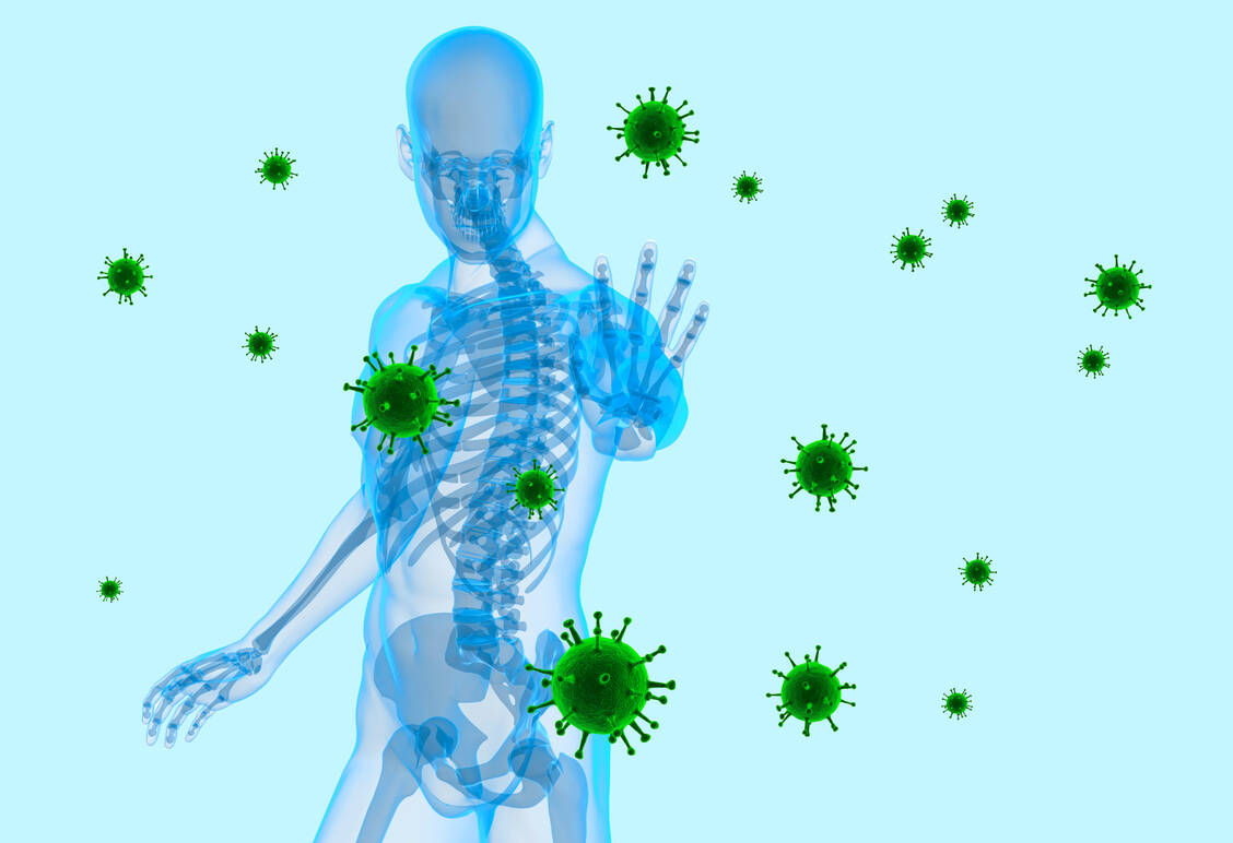 Das angeborene Immunsystem übernimmt die erste schnelle Antwort auf Eindringlinge in den Körper. / Foto: Adobe Stock/SciePro