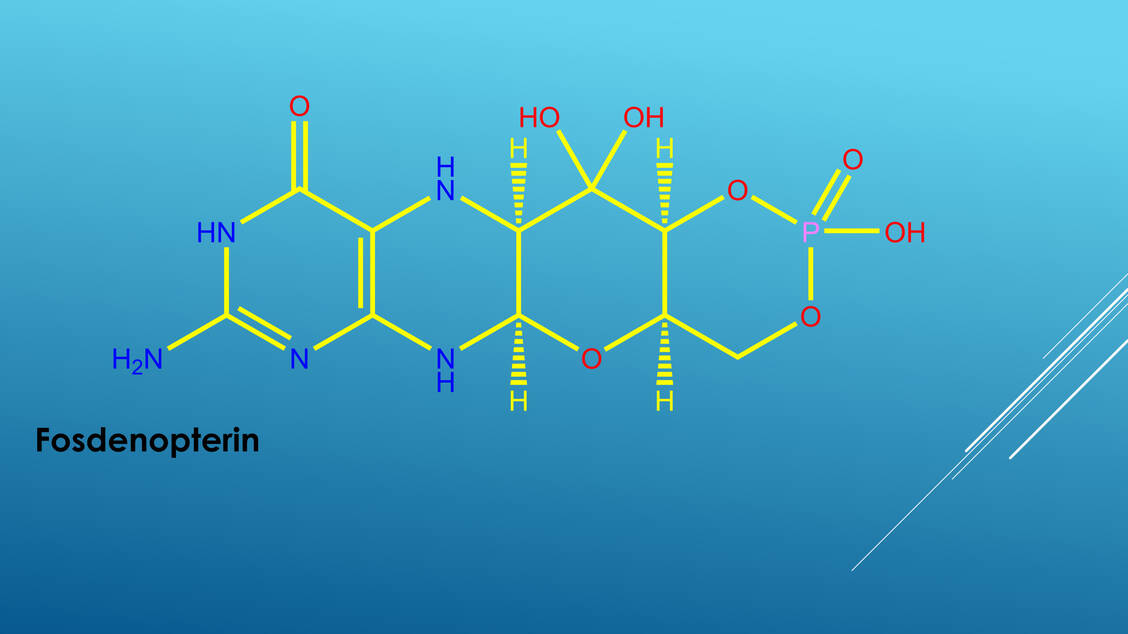 Neues Orphan Drug für Säuglinge PZ Pharmazeutische Zeitung