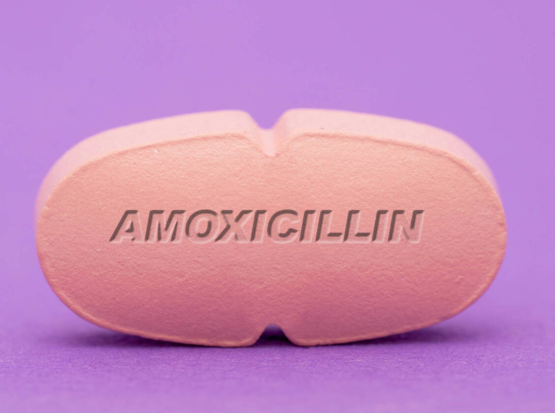 Aminopenicilline wie Amoxicillin zählen zu den Mitteln der ersten Wahl bei ambulant erworbenen Lungenentzündungen. / © Getty Images/Wladimir Bulgar/Science Photo Library