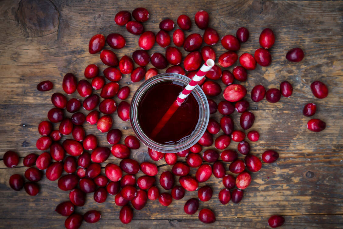 Noch nicht identifizierte Inhaltsstoffe von Cranberries konnten an im Labor gezüchteten Bakterien die Wirkung eines Antibiotikums steigern und Resistenzen verhindern.  / © Getty Images/Westend61