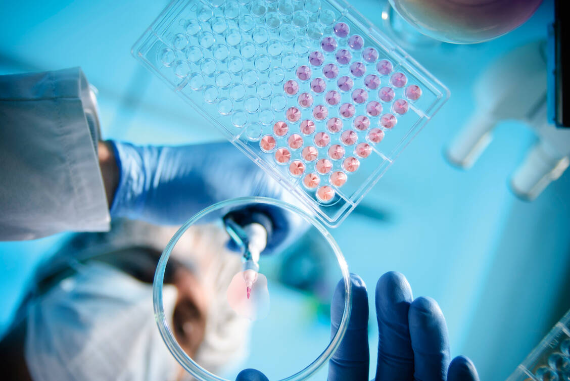 Die Herstellung von ATMP ist meist sehr aufwendig und die Chargengrößen sind klein. Die Produkte gehören daher zu den sehr hochpreisigen Präparaten. / Foto: iStock/Nicolas_