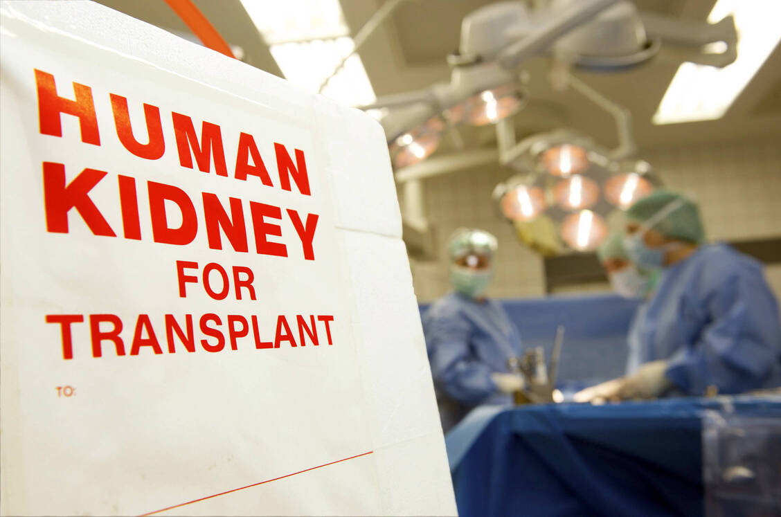 82,3 Prozent der im Online-Register eingetragenen Personen sind bereit, ihre Organe nach dem Tod ohne Einschränkung zu spenden.  / © Imago / epd