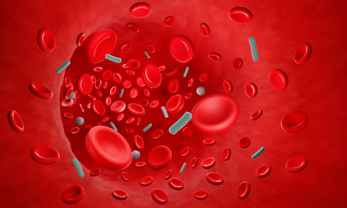 Eine Sepsis ist immer ein medizinischer Notfall. Daher empfiehlt es sich, die Warnzeichen zu kennen. / © Getty Images/Artur Plawgo/Science Photo Library