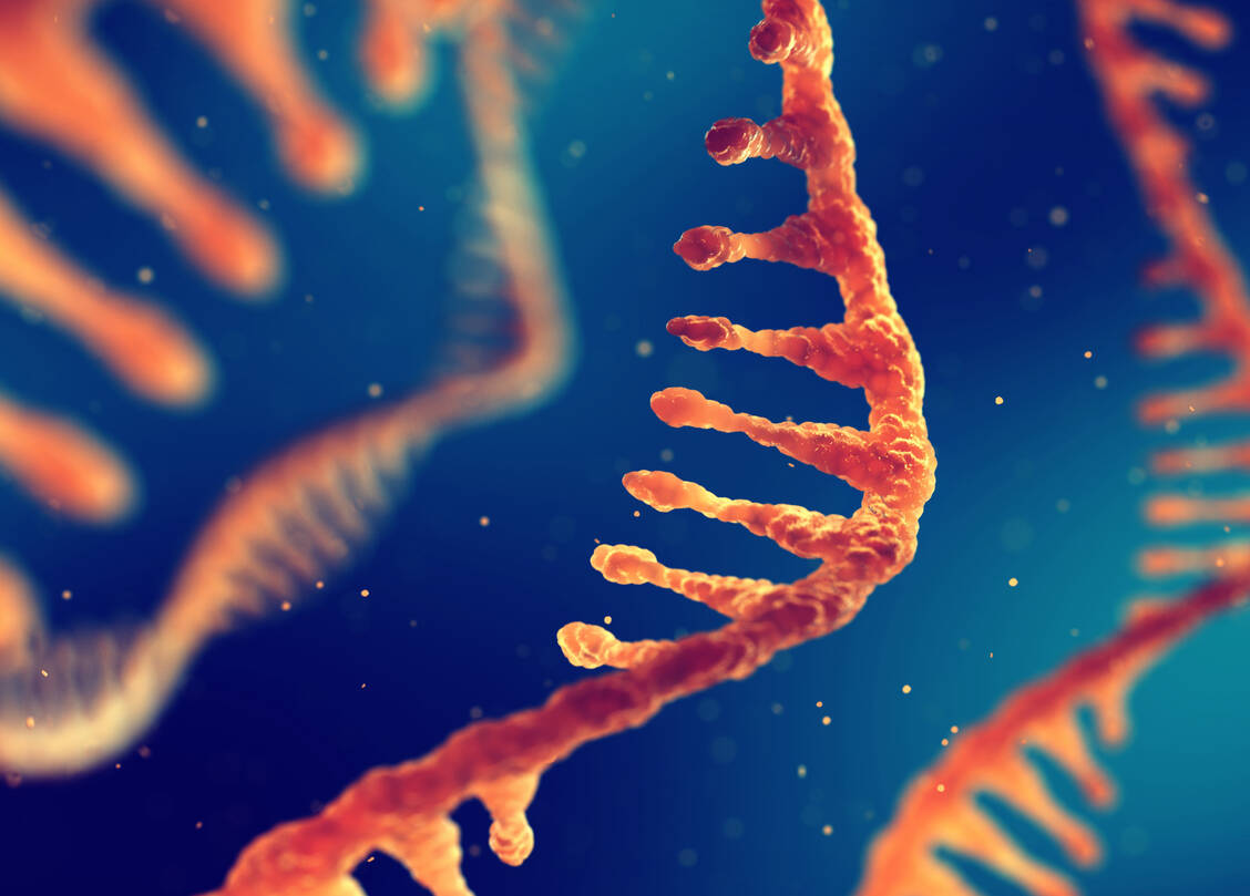 Aptamere sind kurze, speziell gefaltete Einzelstrang-DNA-Moleküle, die spezifisch an biologische Oberflächen binden können. / Foto: Adobe Stock/nobeastsofierce