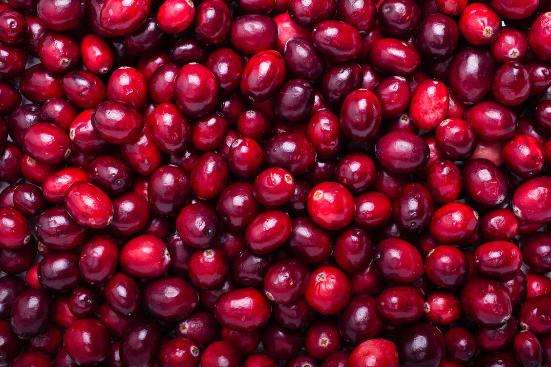 Die Wirkung von Cranberrys bei Blasenentzündung wird auf die enthalten Proanthocyanidine zurückgeführt. / Foto: Adobe Stock/mlramos