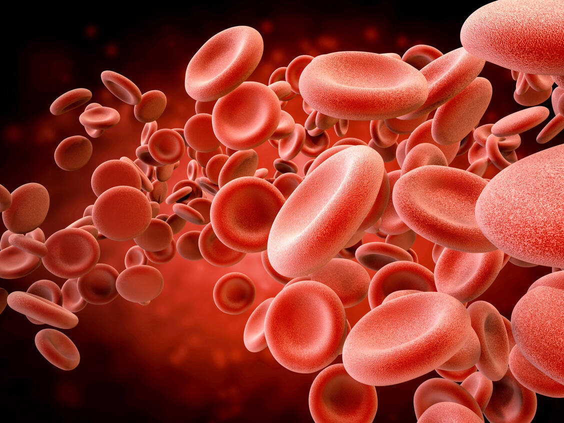 Bei Covid-19 kann es vermehrt zu Thrombosen kommen. Möglicherweise profitieren Patienten daher von einer medikamentösen Antikoagulation. / Foto: Getty Images/PhonlamaiPhoto