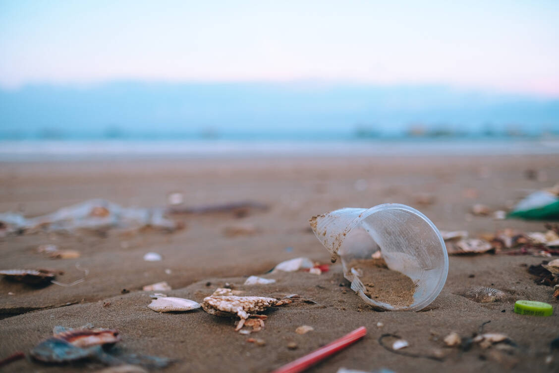 Plastikmüll zersetzt sich mit der Zeit und stellt eine wichtige Quelle für Mikro- und Nanoplastik (MNP) in der Umwelt dar. Über die Nahrung, das Trinkwasser und die Luft sind Menschen permanent auch MNP ausgesetzt. / © Adobe Stock/jangnhut