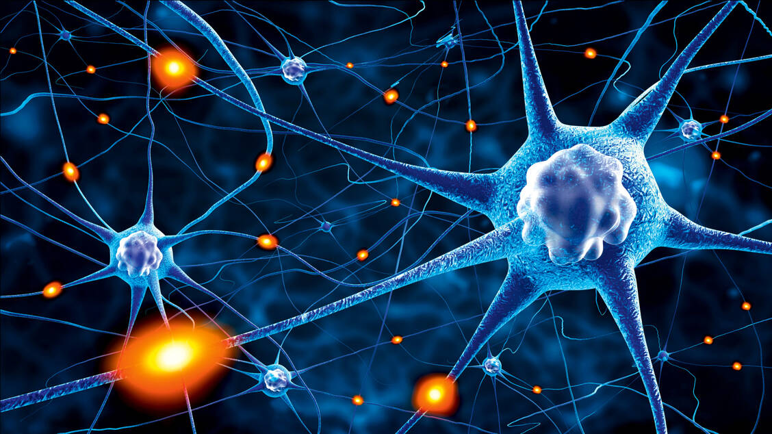 Bei einem Teil der Long-Covid-Patienten sind kleine periphere Nervenfasern geschädigt, zeigt eine aktuelle Studie. / Foto: Shutterstock/adike