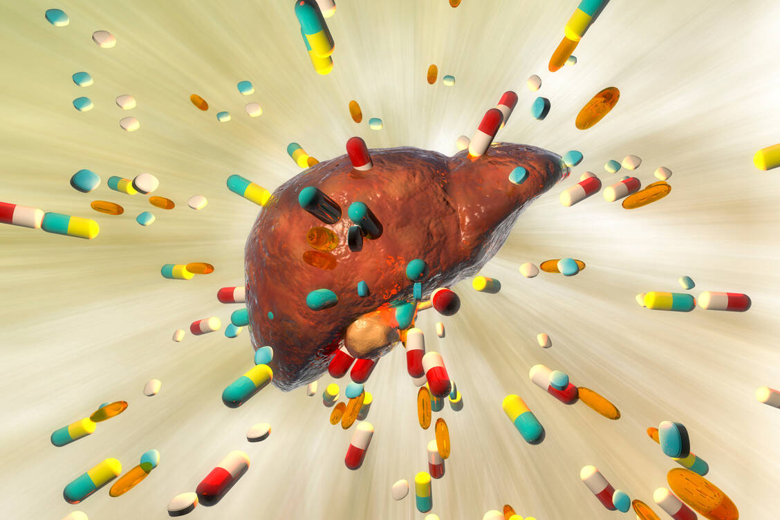 Antibiotika gehören zu den häufigsten Arzneimitteln, die in therapeutischer Dosierung die Leber schädigen können. / Foto: Adobe Stock/Dr_Microbe
