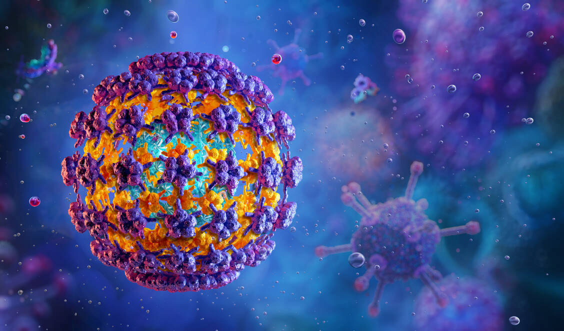 HPV sind unbehüllte DNA-Viren, deren Oberfläche aus den Strukturproteinen L1 und L2 besteht. / Foto: Adobe Stock/Corona Borealis