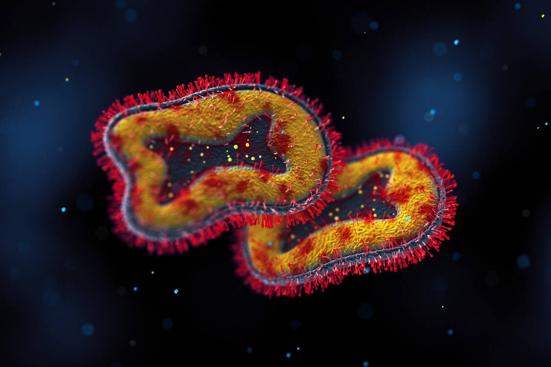 Bei Mpox-Viren handelt es sich um DNA-Viren. / © Getty Images/BlackJack3D