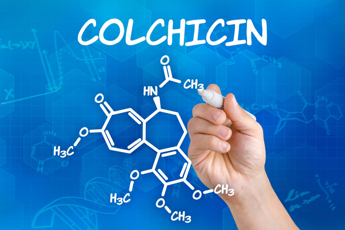 Das Alkaloid Colchicin findet sich unter anderem in den Samen der Herbstzeitlosen. / Foto: Adobe Stock/Zerbor