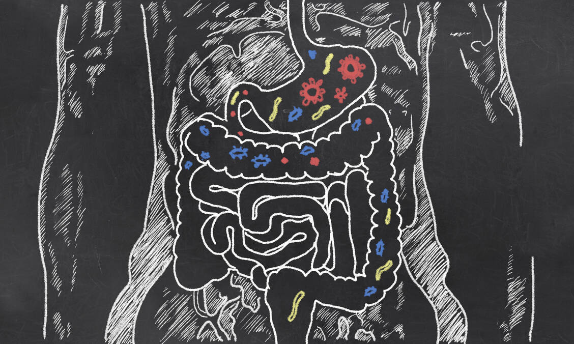 Auch die Zusammensetzung des Darm-Mikrobioms hat einen Einfluss auf den Metabolismus von Arzneistoffen. / Foto: Fotolia/T. L. Furrer