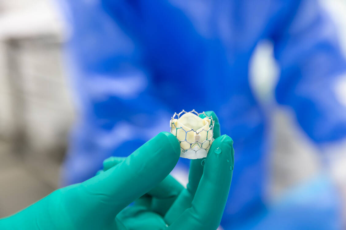 Versagt irgendwann die Herzklappe, ist künstlicher Ersatz gefragt. / © Getty Images/asikkk/Mehmet Cetin